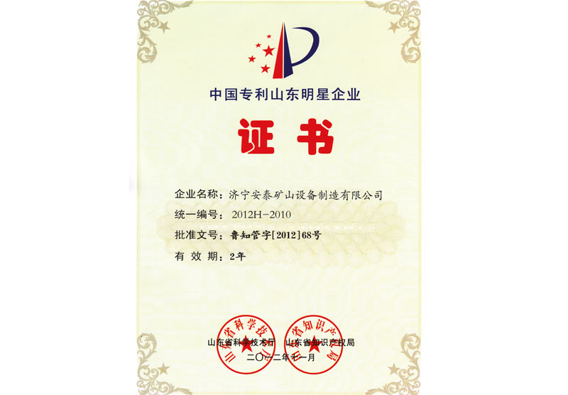 2012中國(guó)專業(yè)山東明星企業(yè)